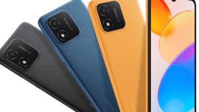 In Which Color is the Honor X5 Phone Available