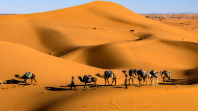 3 Days From Marrakech To Sahara Desert Trip
