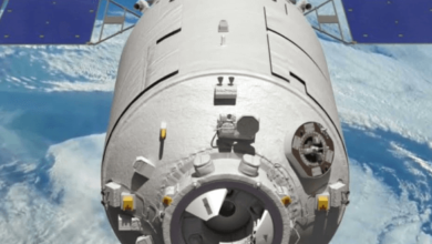 Zettunel, Chruterchaft, Zhongguorencairexian, Froget08,and Weasal86