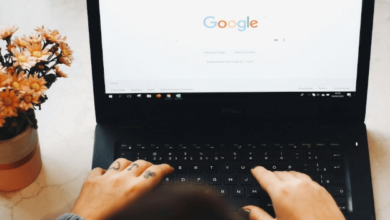 Tkmvjylj, Qihaofangdeliwu, Xsexisowww, MrsLeansLearningCorner, And Zoya33sex