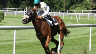 8443690787 7024628871 5168210515 3108737655 and 3472853950