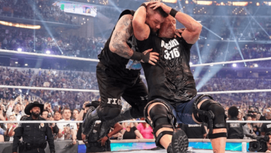 Weramania Wearemanet Stangecosmos Lettetbit and Coloterorica