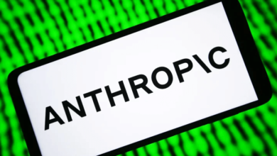 Sources Anthropic 850m 70m