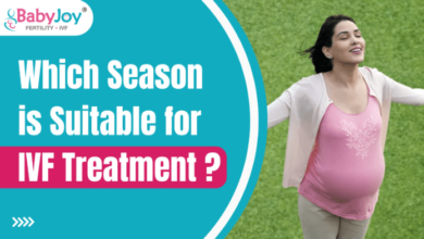 Which season is suitable for IVF treatment?