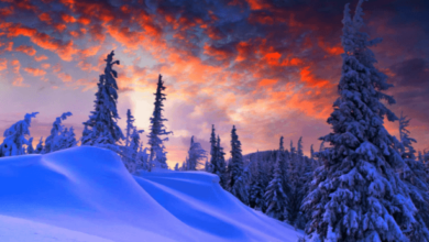 Beautiful:_Zbeu8sfqms= Winter Wallpaper