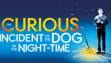 Nt Live: Curious Incident of the Dog in the Night-Time Film