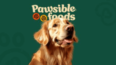 Logo:5nysvvakjo0= Dog Food Brands