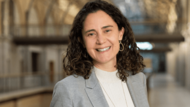 Laela Sturdy Alphabet Ai Stripeloizostechcrunch