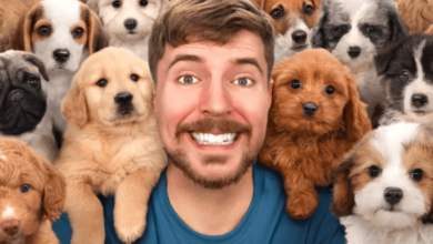 How Mrbeast Youtubehernandezpolygon