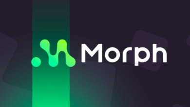 Morph 19M Dragonfly Capitalrowefortune