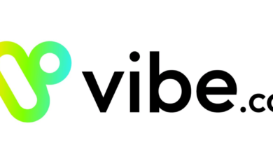 Vibe.Co 22.5m Series 30mboyleadexchanger