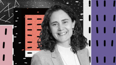 Qa Laela Sturdy Ai Stripeloizostechcrunch