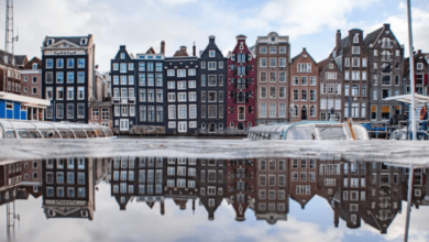 40B Netherlands Yoy 1.1b Decembermaygerbloomberg