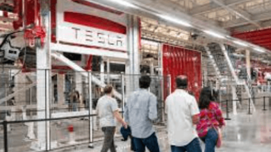 Sources Dojo Venkataramanan Tesla Dojo November