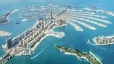 Dubaibased Tumodo 35M Forbes