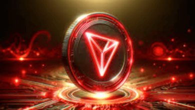 Experts Tron Israeldesignated Tron