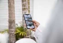 digital adult content exploration