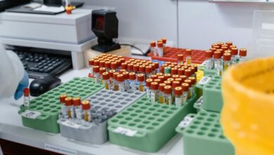 digital testing platform samples
