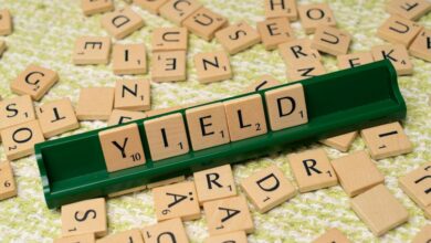 dividend yield gmbh update