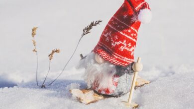 sbi contingent registration user