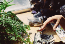 Tips to Stay on Track With Cannabis Recovery in Victoria