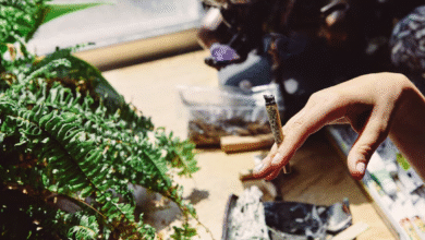 Tips to Stay on Track With Cannabis Recovery in Victoria