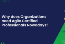 Why Does Organizations Need Agile Certified Professionals Nowadays?