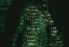 number s online popularity rise