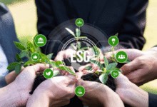 Smart Strategies for Success: Your Complete Guide to Mastering the Carbon Black Market