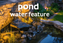 Pond Water
