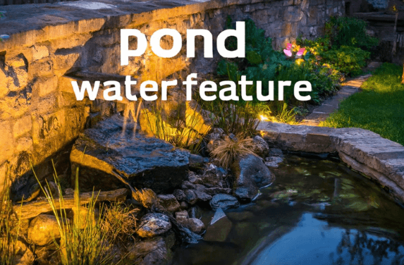 Pond Water