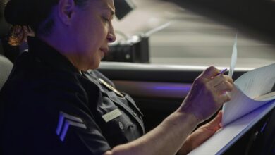 security assessment in progress