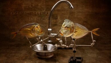 username analysis for kj23meyer