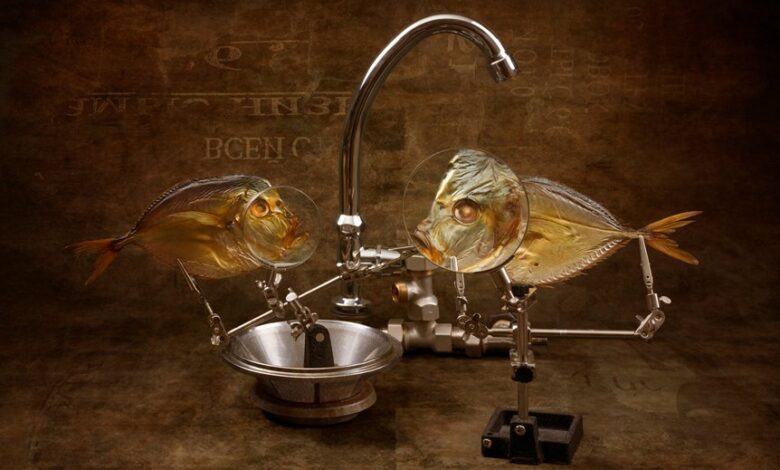 username analysis for kj23meyer