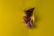 username exploration and analysis