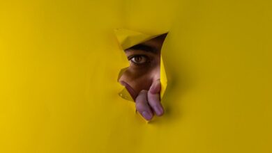 username exploration and analysis