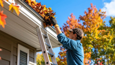 A Step-by-Step Guide to Cleaning Gutters