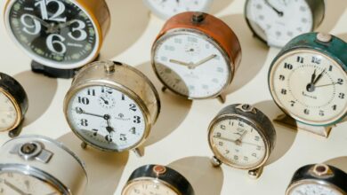 indexed collection of numbers