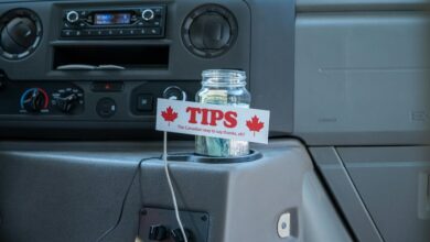 peli plus streaming guide