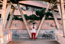 profile review and summary