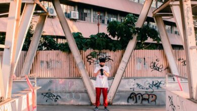 profile review and summary