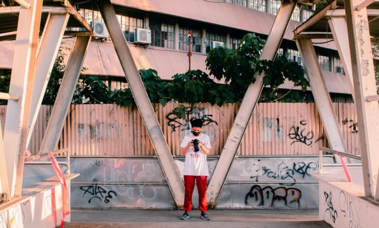 profile review and summary