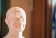 reference numbers provided list