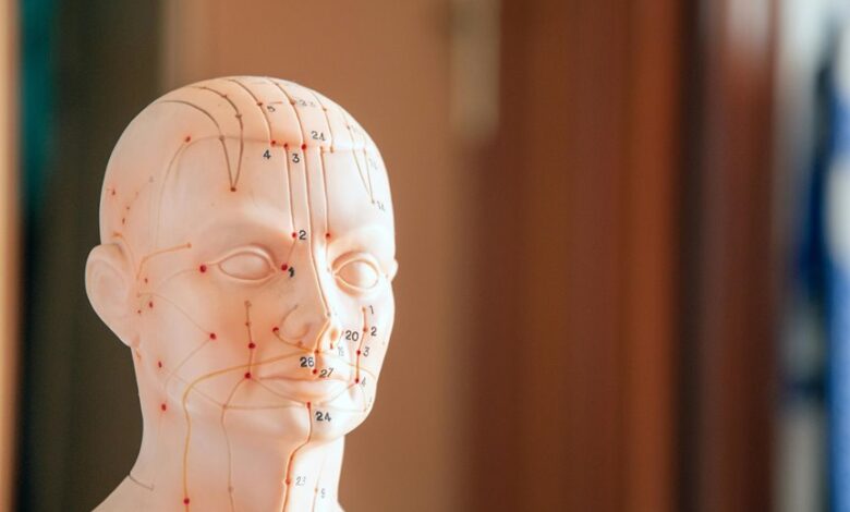 reference numbers provided list