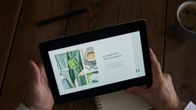 etydbruk comprehensive information guide