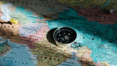 guide to zihollkoc details