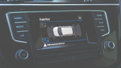 krylovalster unique characteristics highlighted