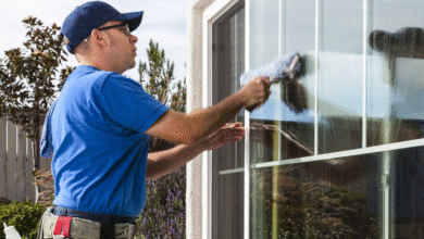 Professional Window Cleaning: Enhancing Clarity, Comfort, and Property Value