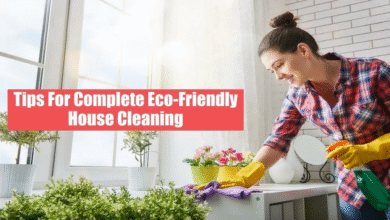 Eco Living: 10 Eco Friendly Tips and Tricks for Cleaning Your Home