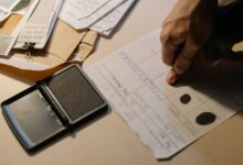 review data records for verification